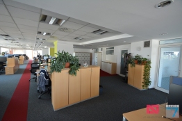 microsoft tudor arghezi office design